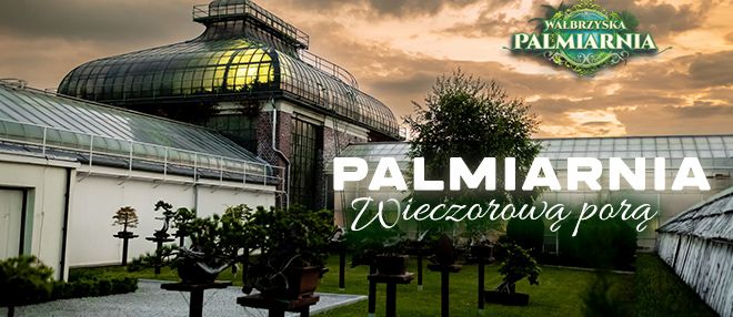 Palmiarnia wieczorową porą - zwiedzanie z przewodnikiem