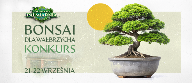 Bonsai dla Wałbrzycha