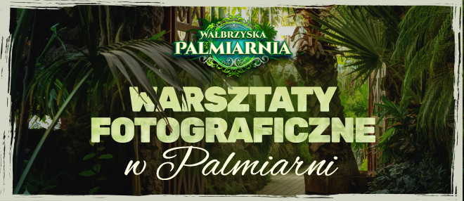 Warsztaty fotograficzne w Palmiarni Wałbrzych