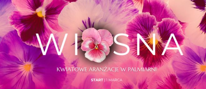 Wiosna w Palmiarni Wałbrzych